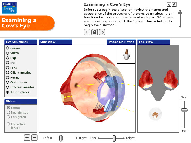 Pearson Education Virtual Science Experiments by ForgeFX Simulations, Examining a Cow's Eye