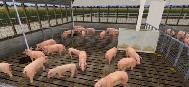 Livestock Production Training Simulator, Virtual Walking the Pens