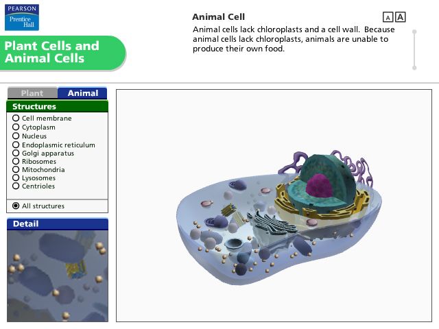 Pearson Education Virtual Science Experiments by ForgeFX Simulations, Plant Cells and Animal Cells Simulation